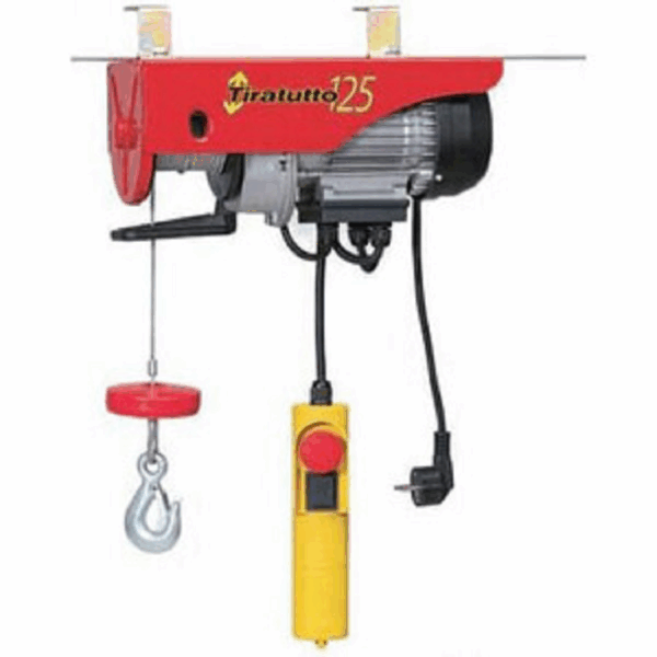 Paranco Elettrico Modello Europea kg.125 Cavo mt.13 W450  | Tea International